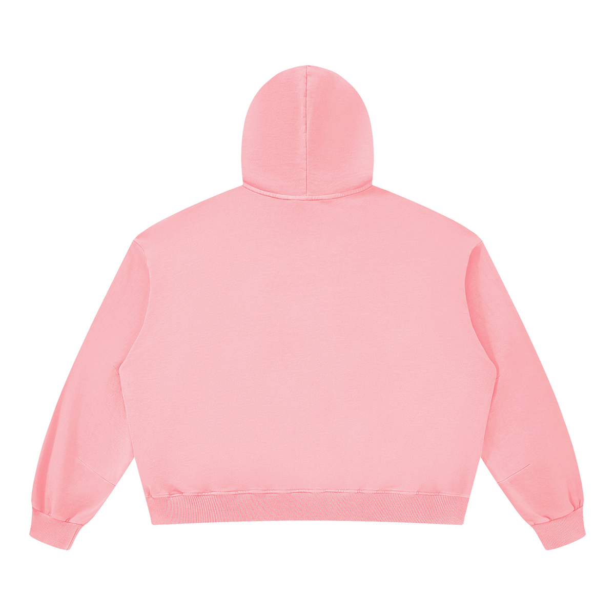 "LEARN LIFE" Vintage Washed Hoodie