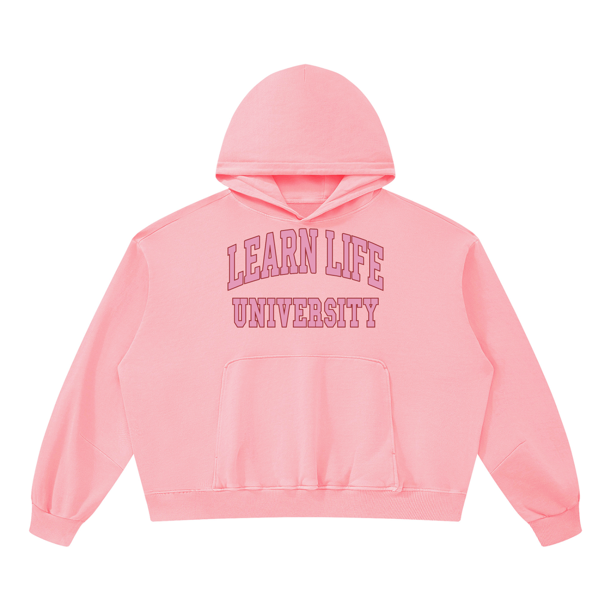 "LEARN LIFE" Vintage Washed Hoodie